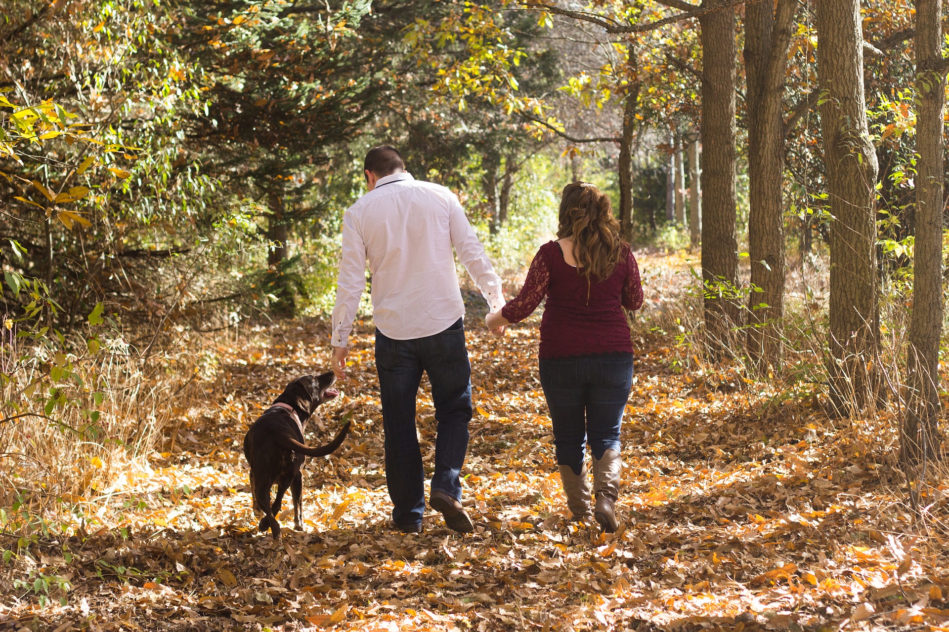 wandelen hond neede